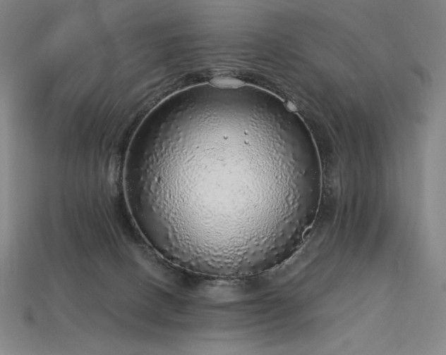 X0000113960082200909251409