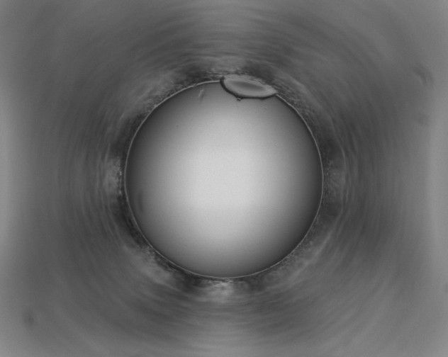 X0000113960083200909251409