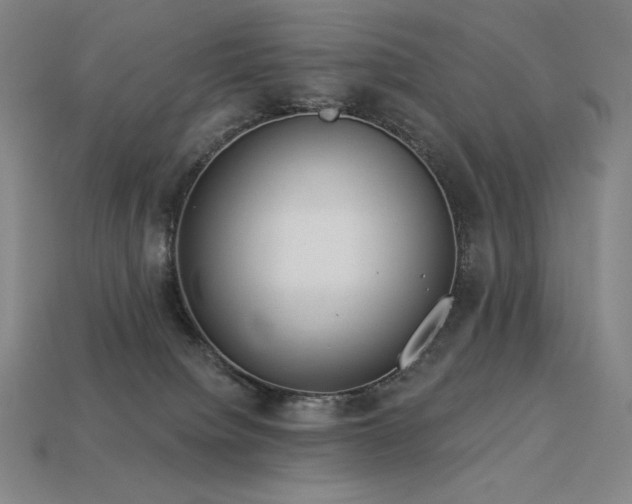 X0000113960084200909251409