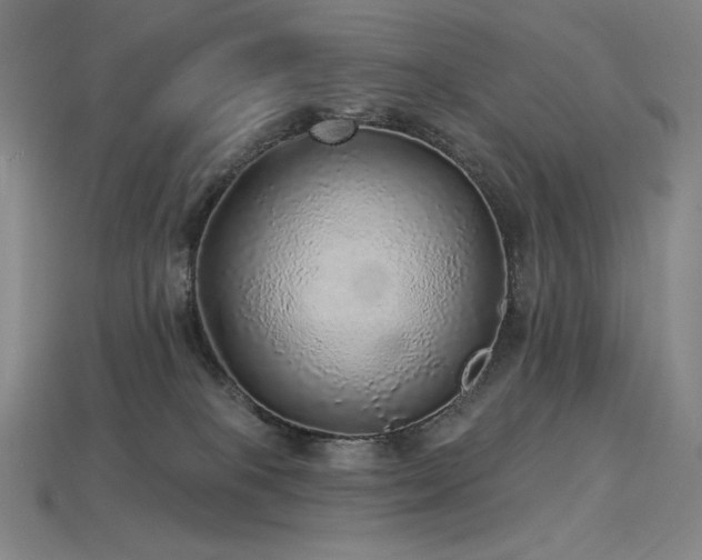 X0000113960085200909251409