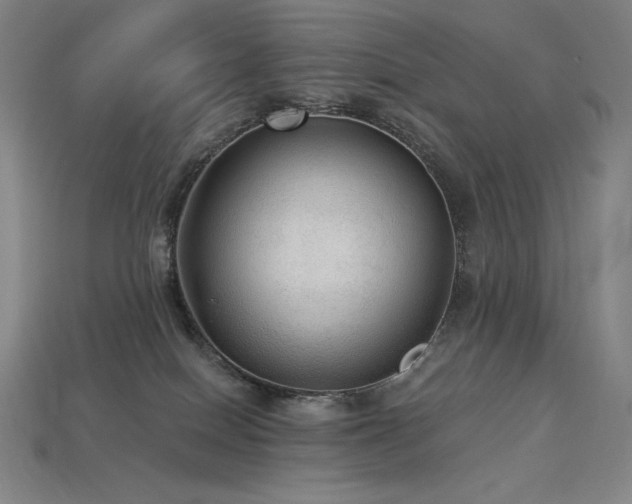 X0000113960086200909251409