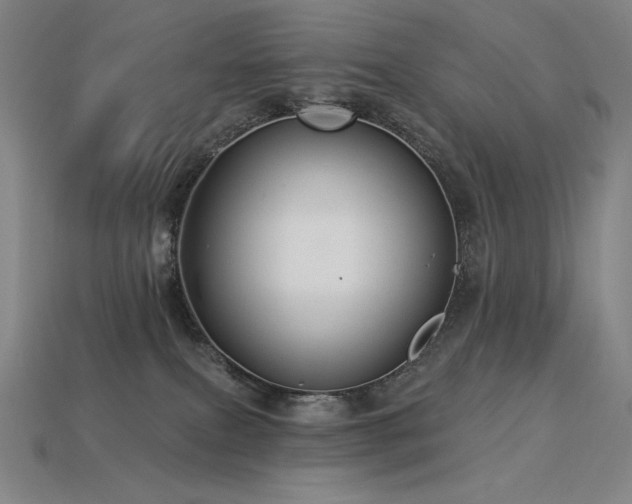 X0000113960087200909251409