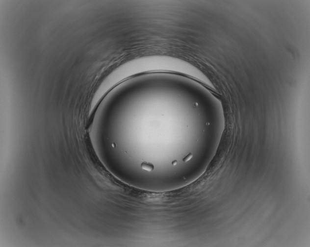 X0000113960088200909251409