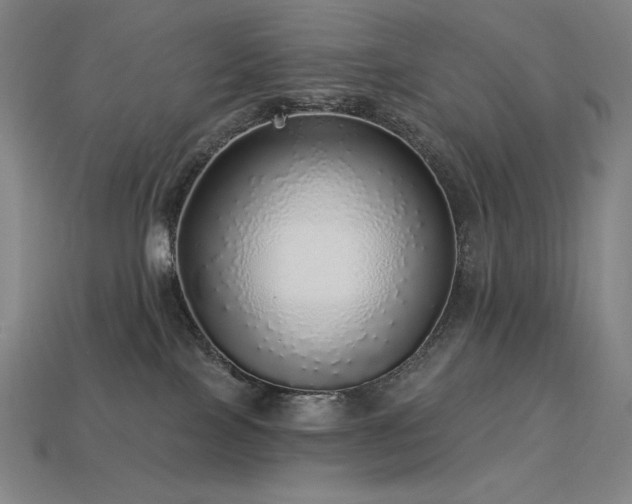 X0000113960089200909251409