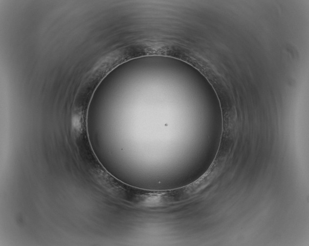 X0000113960090200909251409