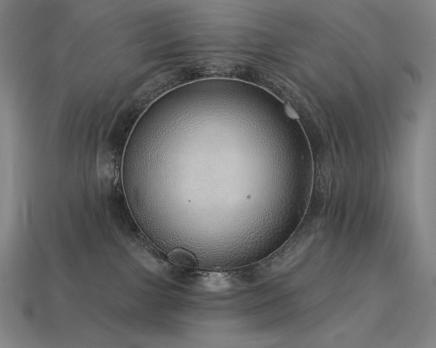 X0000113960091200909251409