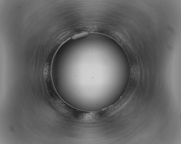 X0000113960092200909251409