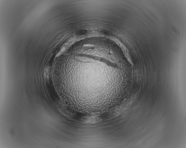 X0000113960093200909251409