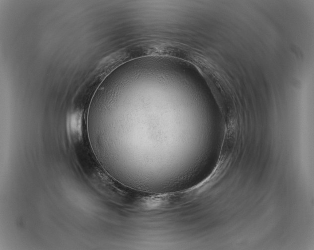 X0000113960094200909251409