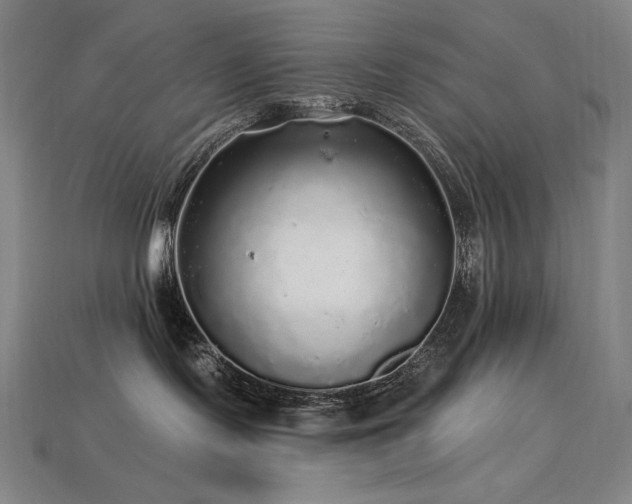 X0000113960095200909251409