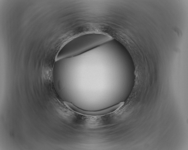 X0000113960096200909251410