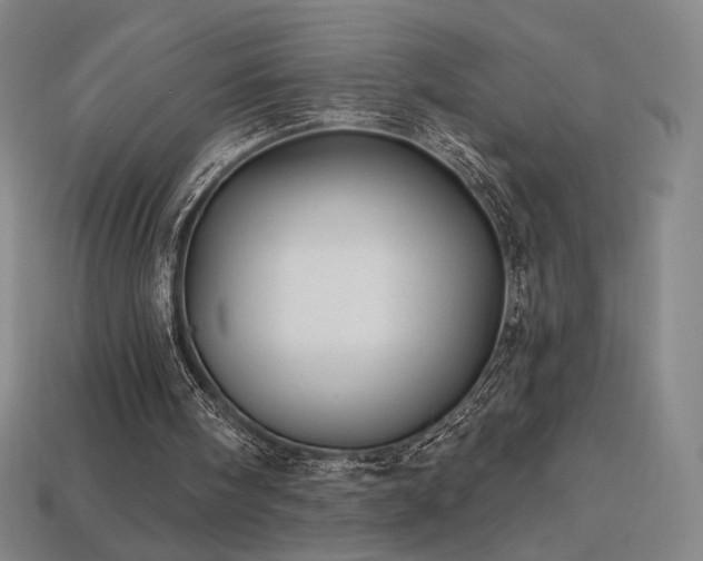 X0000113960098200909251409