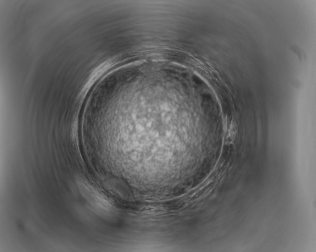 X0000113960099200909251409