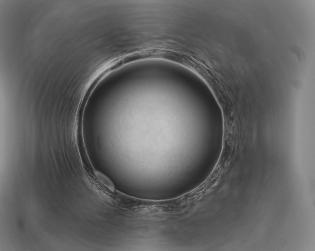 X0000113960100200909251409