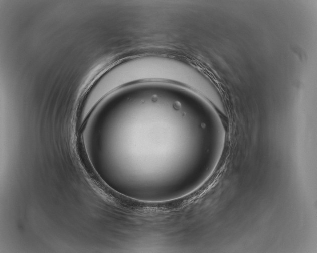 X0000113960101200909251409