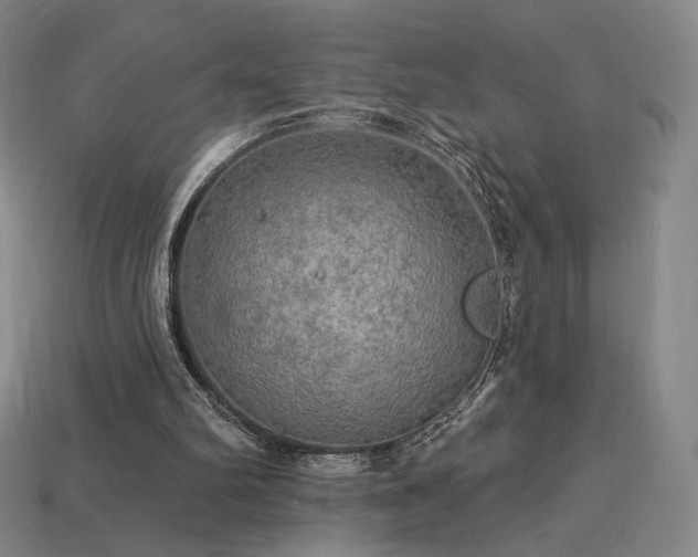 X0000113960102200909251409