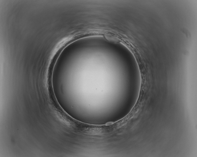 X0000113960104200909251409