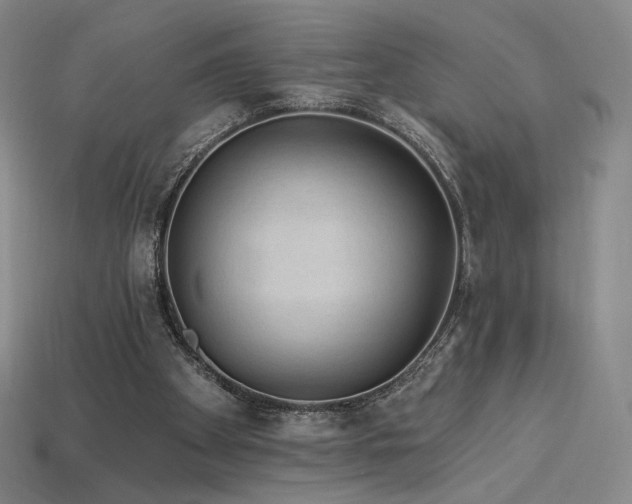 X0000113960105200909251409