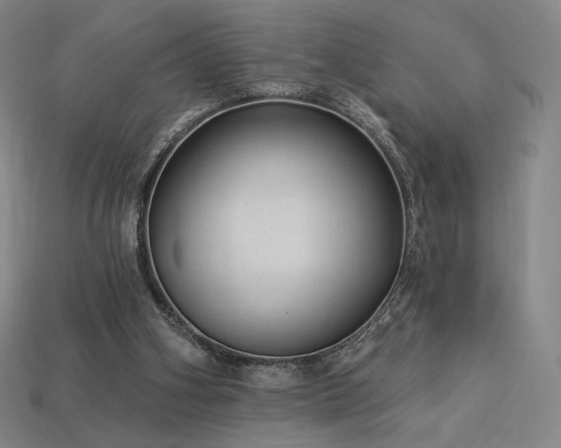 X0000113960106200909251409