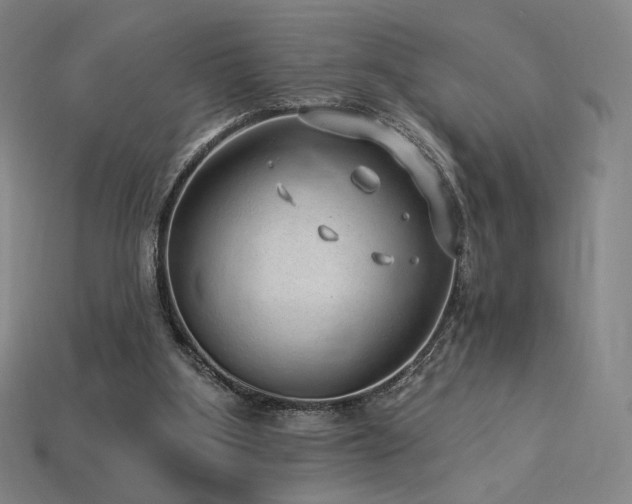 X0000113960107200909251409