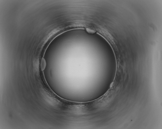 X0000113960108200909251409