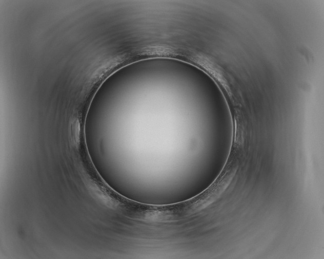 X0000113960109200909251409