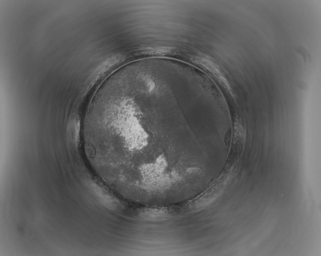 X0000113960110200909251409