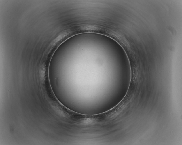 X0000113960111200909251409