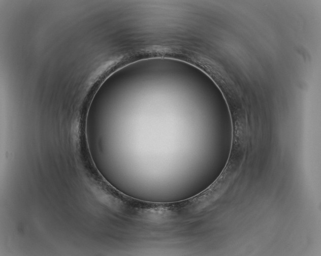 X0000113960112200909251409