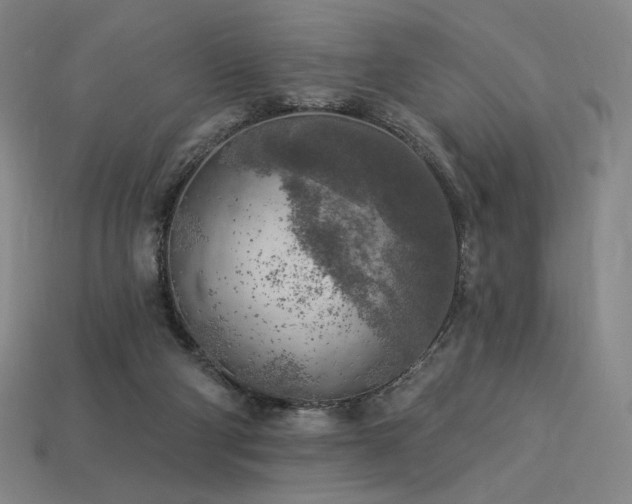 X0000113960114200909251409