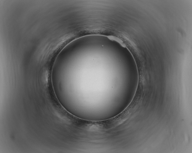 X0000113960115200909251409