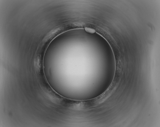 X0000113960116200909251409