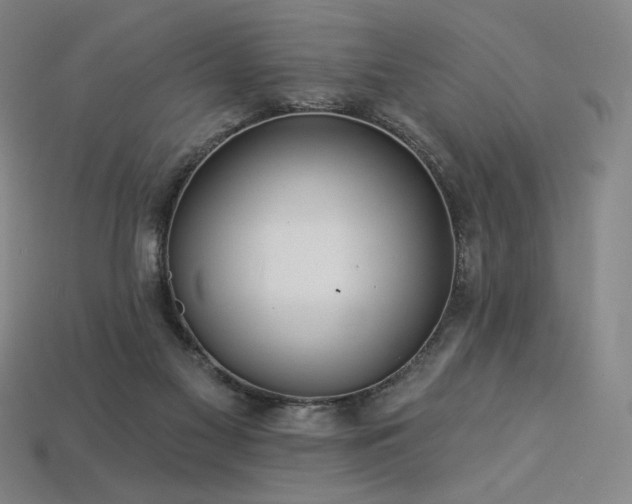 X0000113960117200909251409