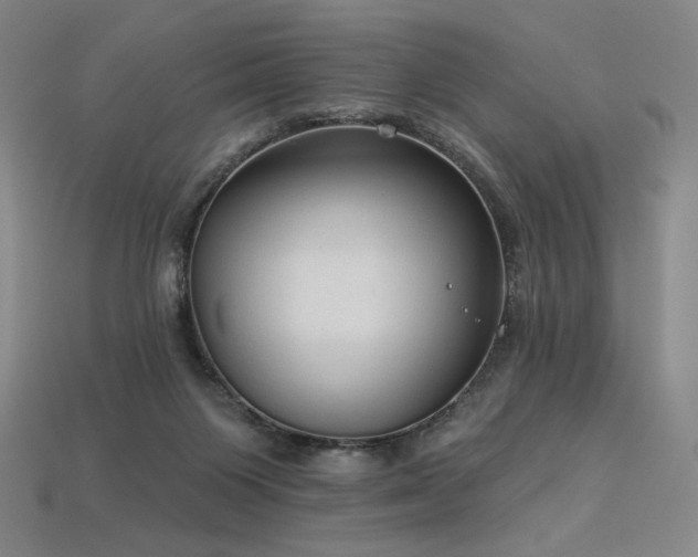 X0000113960119200909251409