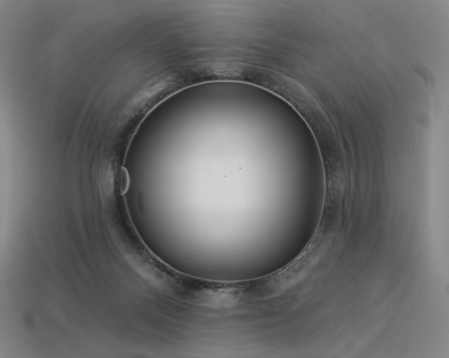 X0000113960120200909251409