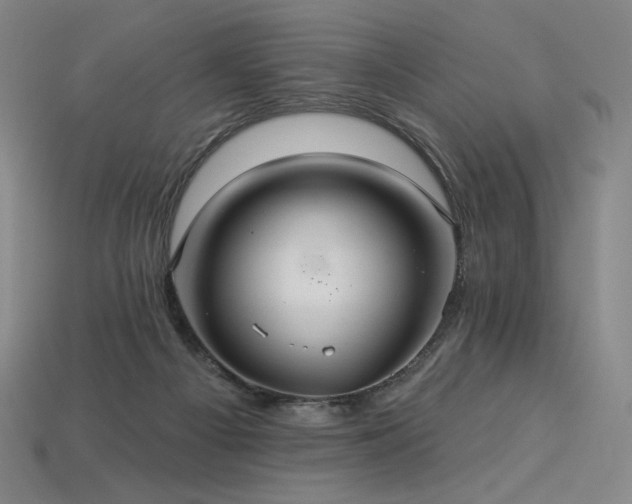 X0000113960121200909251409