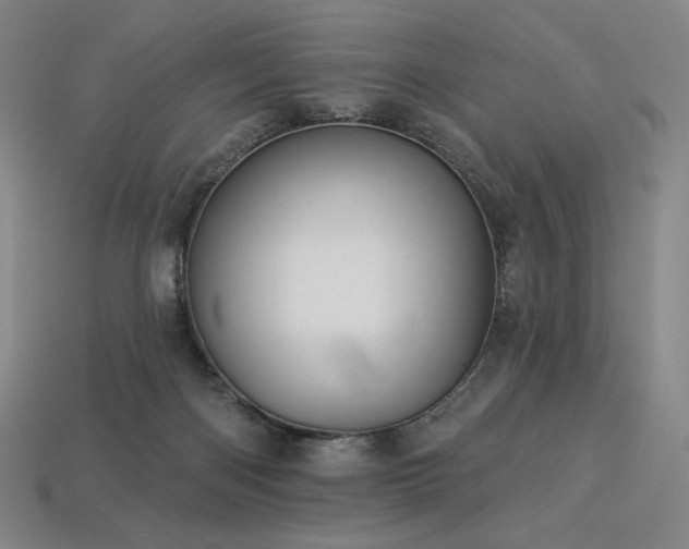 X0000113960122200909251409