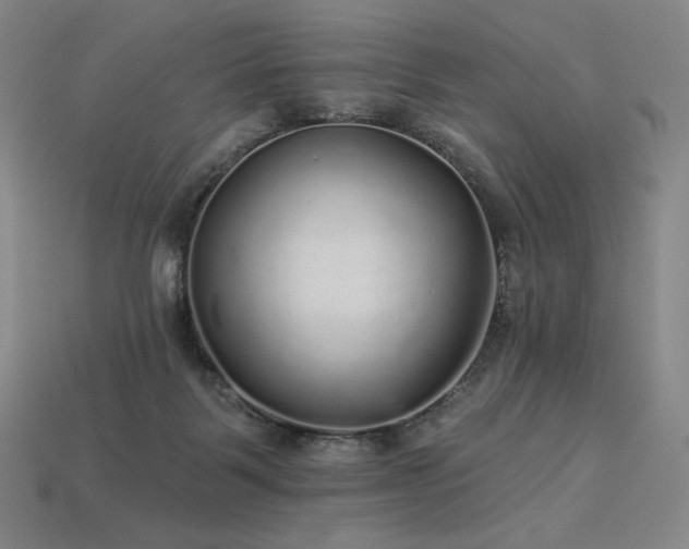 X0000113960123200909251409