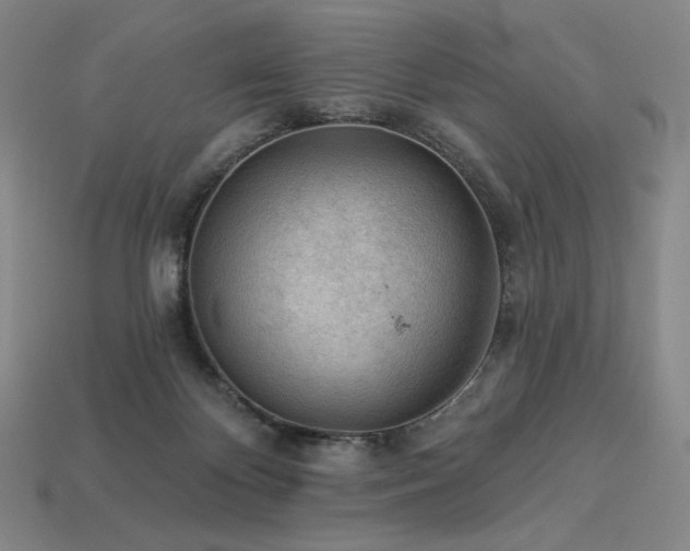 X0000113960124200909251409