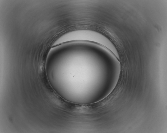 X0000113960125200909251409