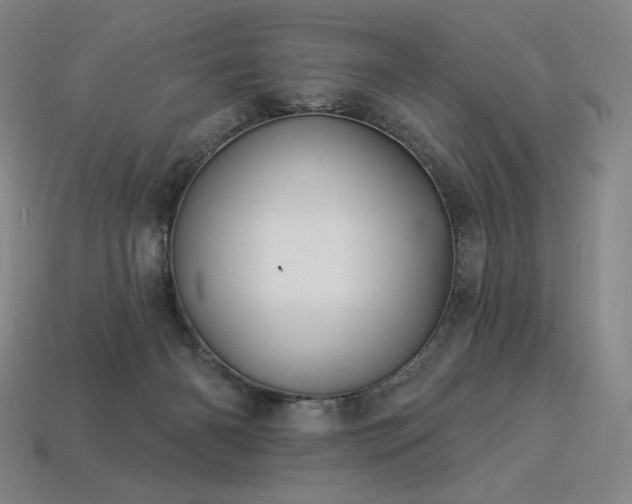 X0000113960126200909251409