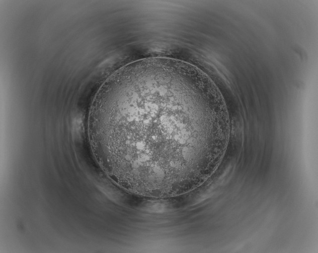 X0000113960127200909251409