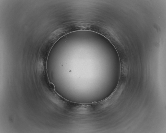 X0000113960128200909251408