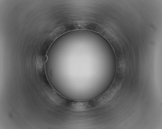 X0000113960129200909251408