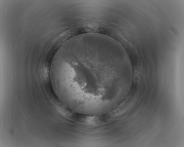 X0000113960130200909251408