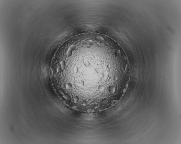 X0000113960131200909251408