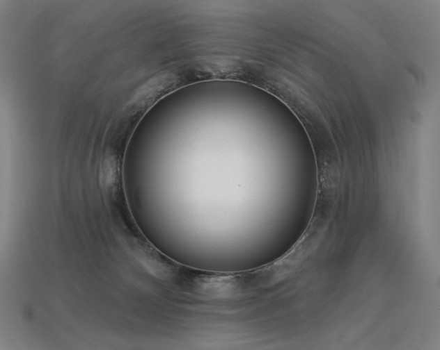 X0000113960132200909251408