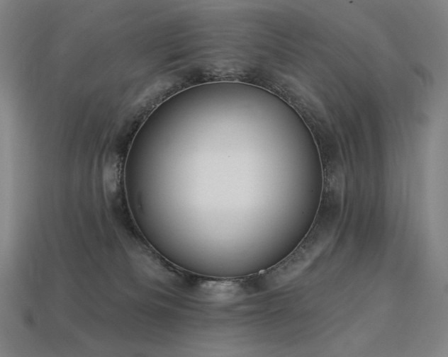 X0000113960133200909251408