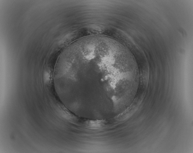 X0000113960134200909251408