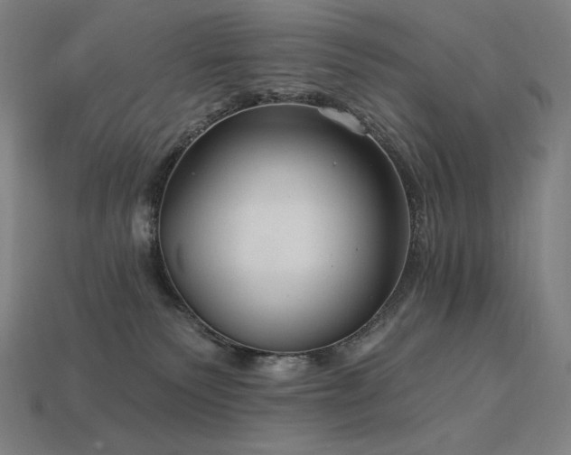 X0000113960135200909251408